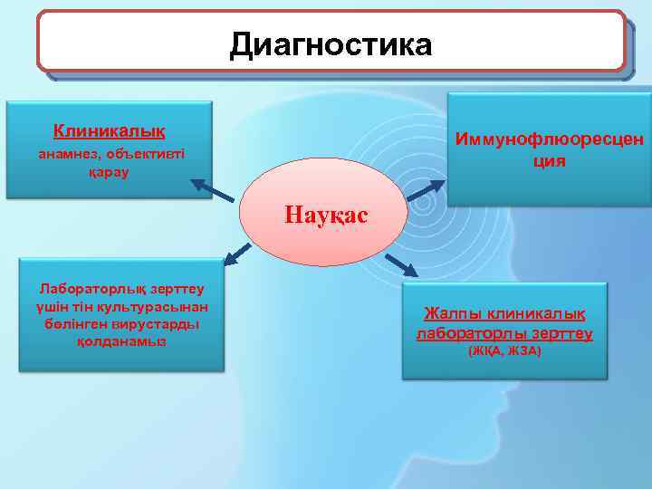 Диагностика Клиникалық Иммунофлюоресцен ция анамнез, объективті қарау Науқас Лабораторлық зерттеу үшін тін культурасынан бөлінген