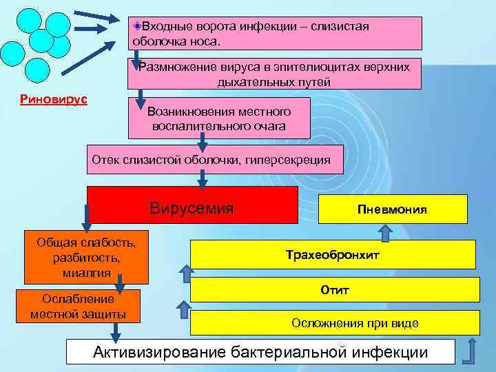 Входные ворота инфекции