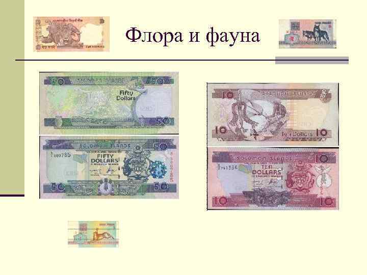 Флора и фауна 