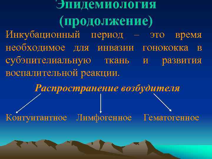 Эпидемиология (продолжение) Инкубационный период – это время необходимое для инвазии гонококка в субэпителиальную ткань