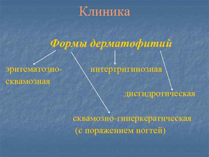 Клиника Формы дерматофитий эритематозносквамозная интертригинозная дисгидротическая сквамозно-гиперкератическая (с поражением ногтей) 