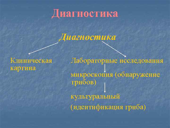Диагностика Клиническая картина Лабораторные исследования микроскопия (обнаружение грибов) культуральный (идентификация гриба) 