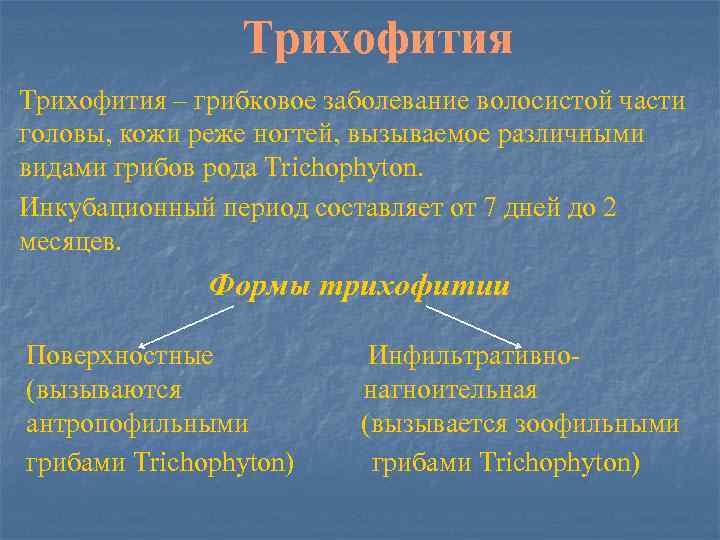 Трихофития – грибковое заболевание волосистой части головы, кожи реже ногтей, вызываемое различными видами грибов