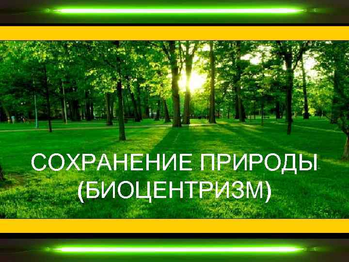СОХРАНЕНИЕ ПРИРОДЫ (БИОЦЕНТРИЗМ) 