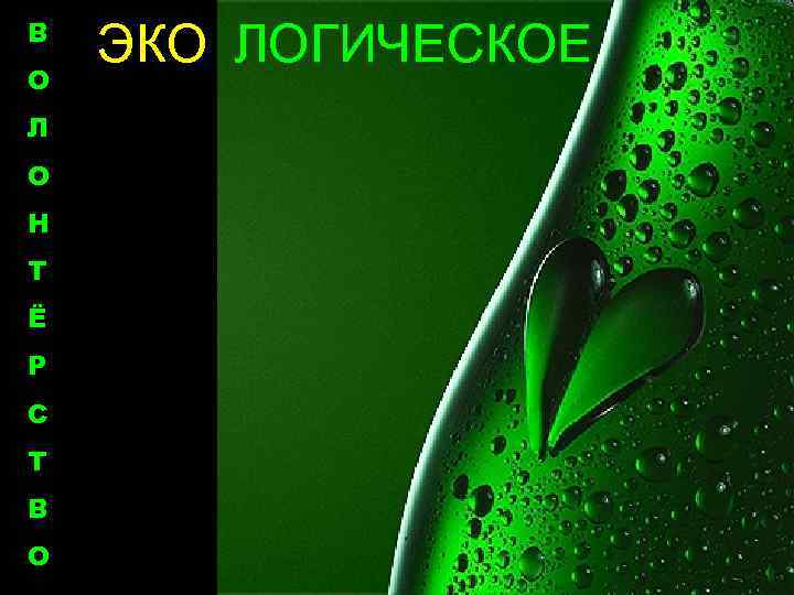 В О Л О Н Т Ё Р С Т В О ЭКО ЛОГИЧЕСКОЕ