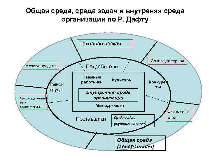 В каких целях организовывается среда общих данных проекта реализуемого с тим