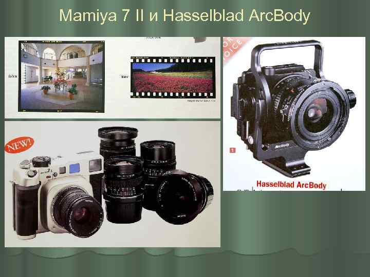 Mamiya 7 II и Hasselblad Arc. Body 