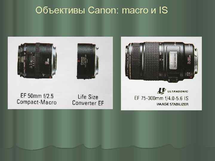 Объективы Canon: macro и IS 