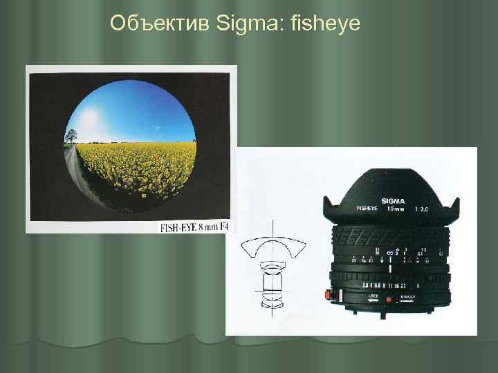 Объектив Sigma: fisheye 
