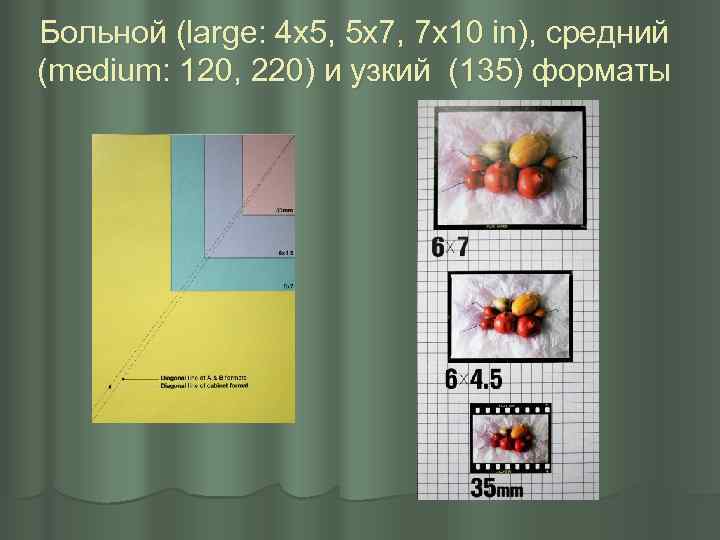 Больной (large: 4 x 5, 5 x 7, 7 x 10 in), средний (medium: