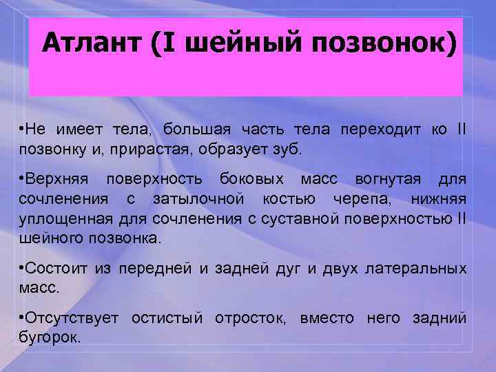 Атлант (I шейный позвонок) • Не имеет тела, большая часть тела переходит ко II