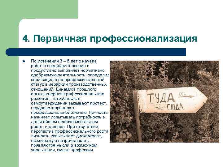 4. Первичная профессионализация l По истечении 3 – 5 лет с начала работы специалист