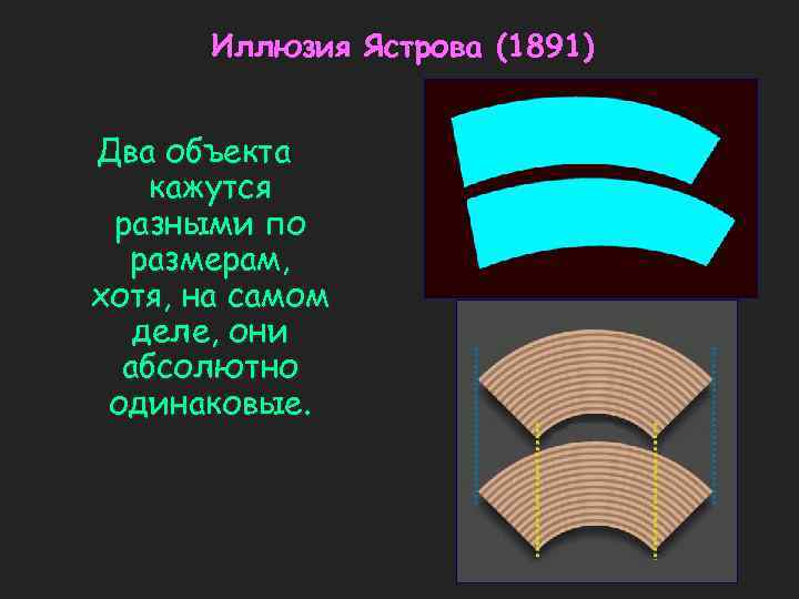 Иллюзия Ястрова (1891) Два объекта кажутся разными по размерам, хотя, на самом деле, они