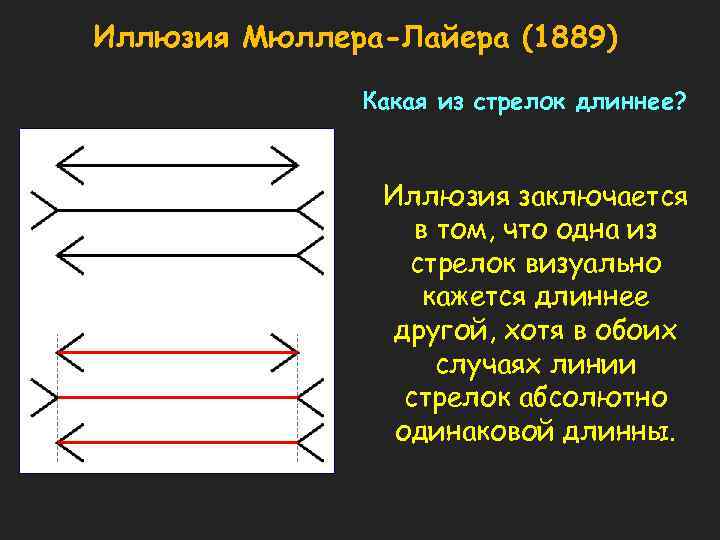 Иллюзия Мюллера-Лайера (1889) Какая из стрелок длиннее? Иллюзия заключается в том, что одна из