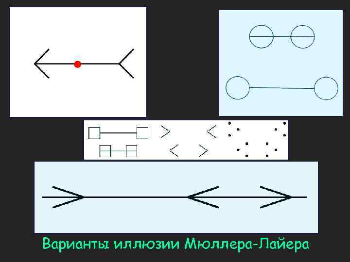 Варианты иллюзии Мюллера-Лайера 