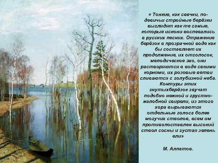  « Тонкие, как свечки, подевичьи стройные берёзки выглядят как те самые, которые искони