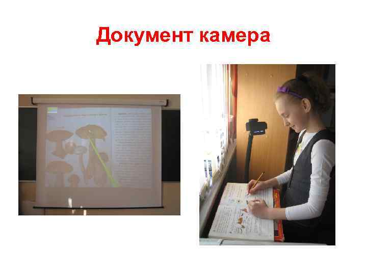 Документ камера 