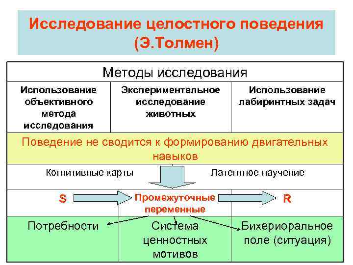 Исследование целостного поведения (Э. Толмен) Методы исследования Использование объективного метода исследования Экспериментальное исследование животных