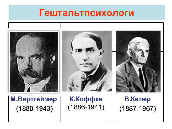 Гештальтпсихологи М. Вертгеймер (1880 -1943) К. Коффка (1886 -1941) В. Келер (1887 -1967) 