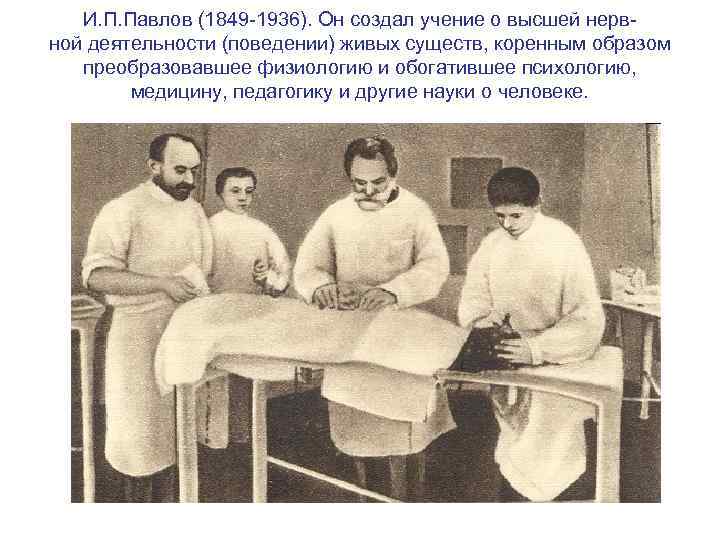 И. П. Павлов (1849 1936). Он создал учение о высшей нерв ной деятельности (поведении)
