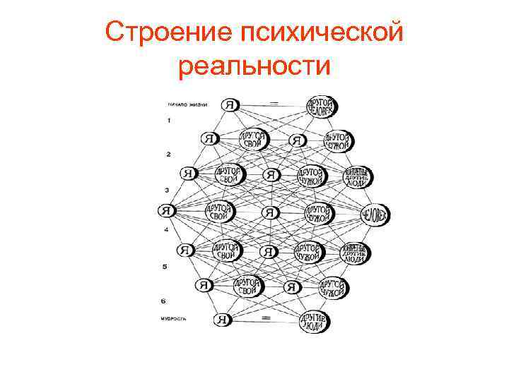 Строение психической реальности 