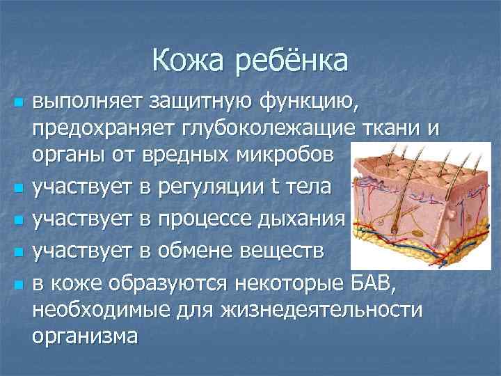 Кожа ребёнка n n n выполняет защитную функцию, предохраняет глубоколежащие ткани и органы от