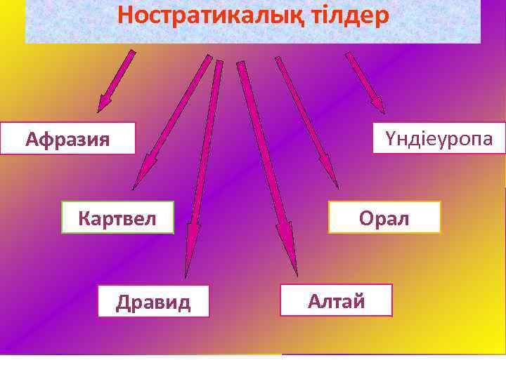 Ностратикалық тілдер Үндіеуропа Афразия Картвел Дравид Орал Алтай 