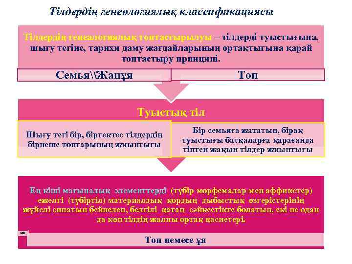 Эволюциялық үдерістегі өзгергіштіктің рөлі презентация