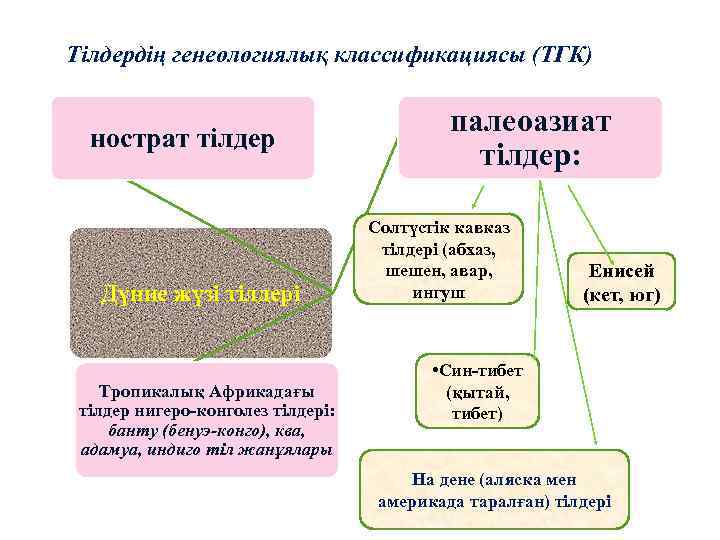 Тілдердің генеологиялық классификациясы (ТГК) нострат тілдер Дүние жүзі тілдері Тропикалық Африкадағы тілдер нигеро-конголез тілдері: