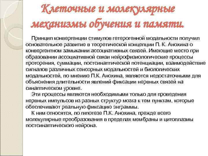 Клеточные и молекулярные механизмы обучения и памяти. Принцип конвергенции стимулов гетерогенной модальности получил основательное