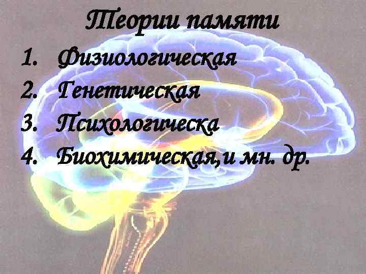 Теории памяти 1. 2. 3. 4. Физиологическая Генетическая Психологическа Биохимическая, и мн. др. 