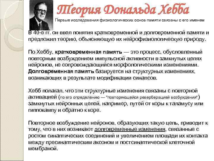 Теория Дональда Хебба Первые исследования физиологических основ памяти связаны с его именем В 40