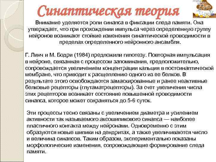Синаптическая теория Внимание уделяется роли синапса в фиксации следа памяти. Она утверждает, что при