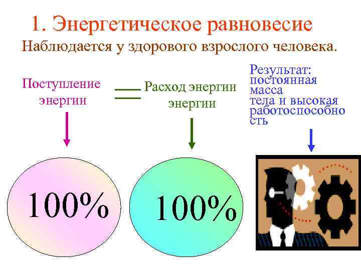 1. Энергетическое равновесие Наблюдается у здорового взрослого человека. Поступление энергии 100% Результат: Расход энергии