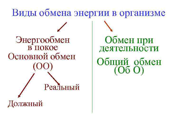 Виды обмена энергии в организме Энергообмен в покое Основной обмен (ОО) Реальный Должный Обмен