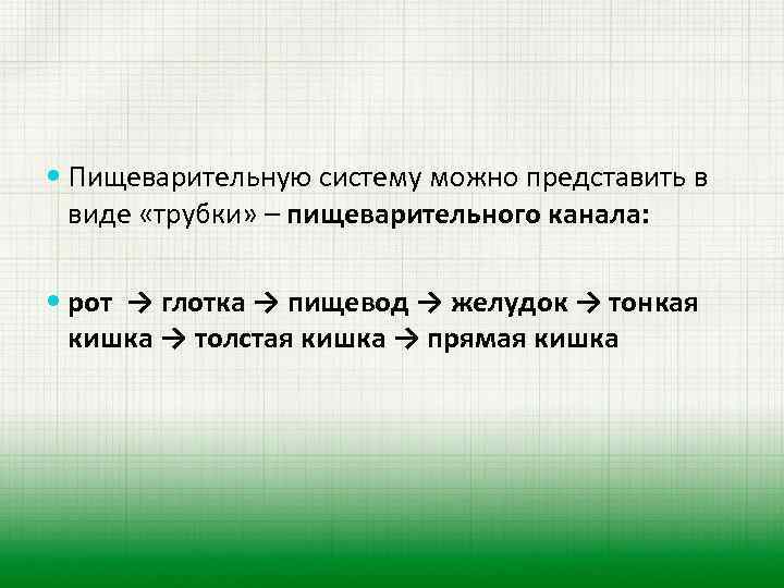  Пищеварительную систему можно представить в виде «трубки» – пищеварительного канала: рот → глотка