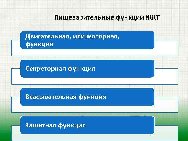 Пищеварительные функции ЖКТ Двигательная, или моторная, функция Секреторная функция Всасывательная функция Защитная функция 
