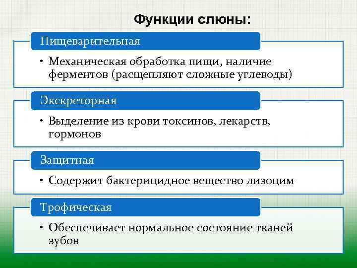 Слюна выполняет функции. Функции слюны. Роль слюны в пищеварении.