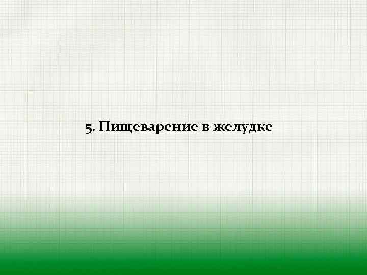 5. Пищеварение в желудке 