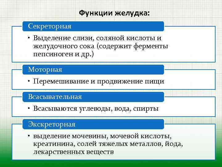 Функции желудка: Секреторная • Выделение слизи, соляной кислоты и желудочного сока (содержит ферменты пепсиноген