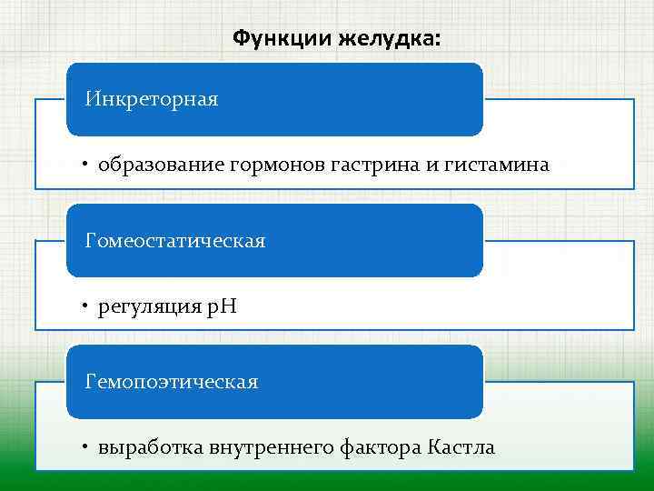 Функции желудка: Инкреторная • образование гормонов гастрина и гистамина Гомеостатическая • регуляция р. Н