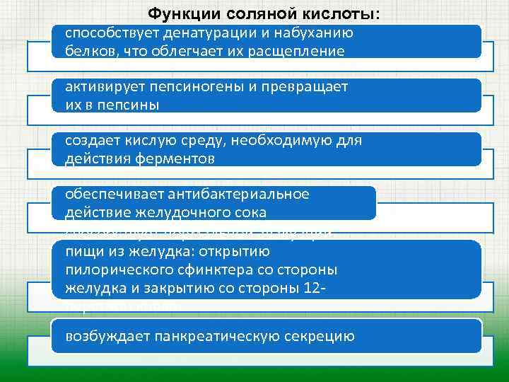 Функции соляной кислоты: способствует денатурации и набуханию белков, что облегчает их расщепление активирует пепсиногены