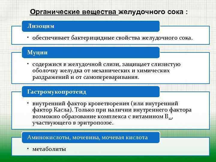 Органические вещества желудочного сока : Лизоцим • обеспечивает бактерицидные свойства желудочного сока. Муцин •