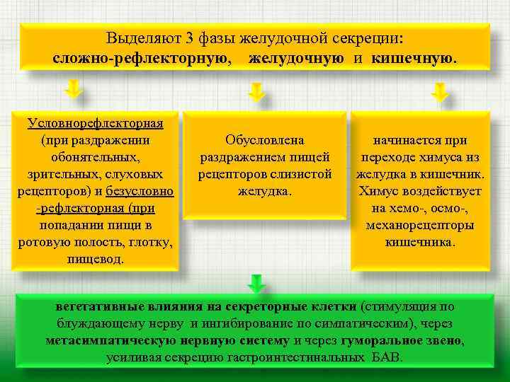 Выделяют 3 фазы желудочной секреции: сложно-рефлекторную, желудочную и кишечную. Условнорефлекторная (при раздражении обонятельных, зрительных,