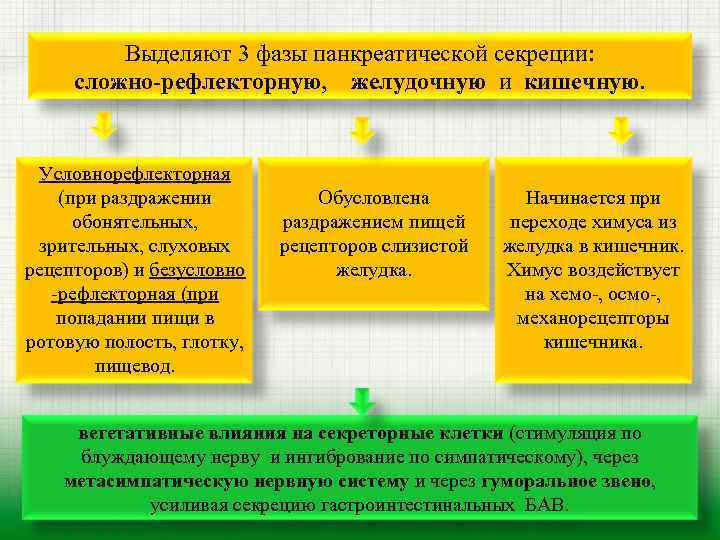 Выделяют 3 фазы панкреатической секреции: сложно-рефлекторную, желудочную и кишечную. Условнорефлекторная (при раздражении обонятельных, зрительных,
