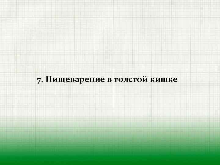 7. Пищеварение в толстой кишке 