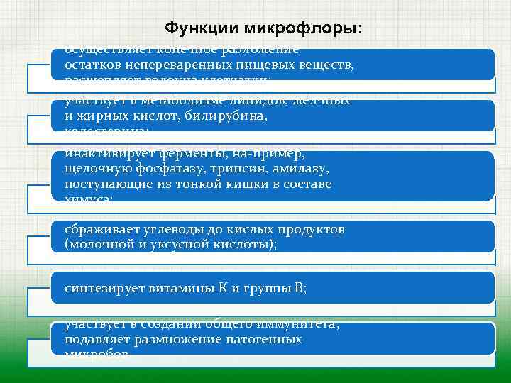 Функции микрофлоры: осуществляет конечное разложение остатков непереваренных пищевых веществ, расщепляет волокна клетчатки; участвует в