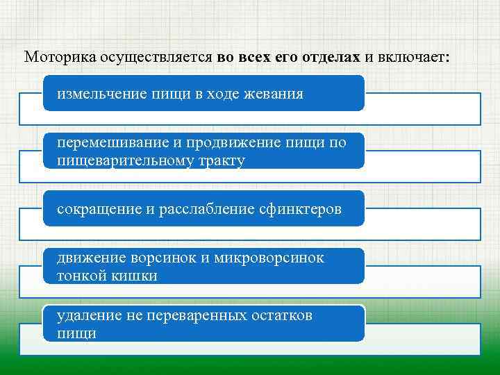 Моторика осуществляется во всех его отделах и включает: измельчение пищи в ходе жевания перемешивание