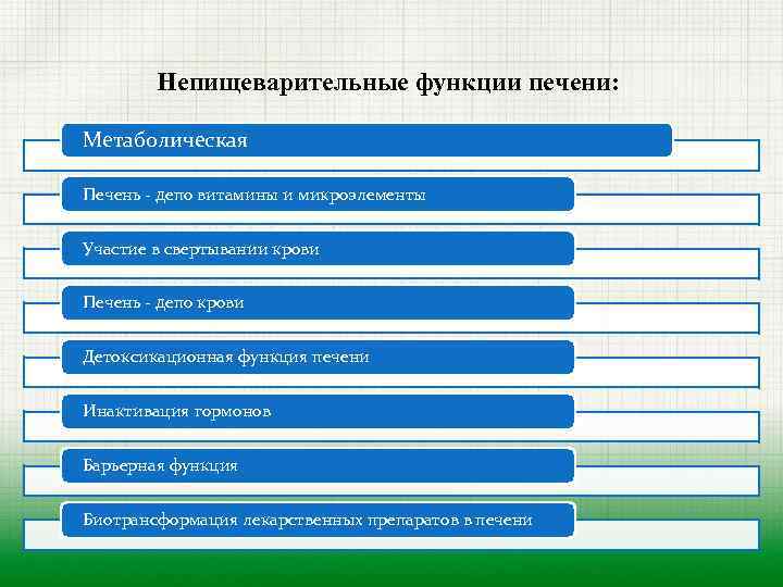 Непищеварительные функции печени: Метаболическая Печень депо витамины и микроэлементы Участие в свертывании крови Печень