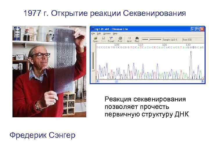 1977 г. Открытие реакции Секвенирования Реакция секвенирования позволяет прочесть первичную структуру ДНК Фредерик Сэнгер